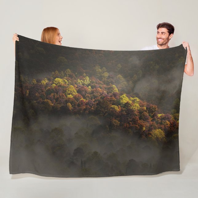 Touched by the Sun Fleece Blanket (In Situ)