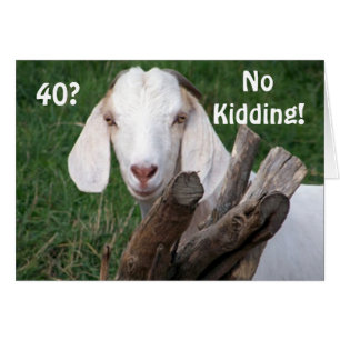 TOUGH TIMES-=NO KIDDING "40th"