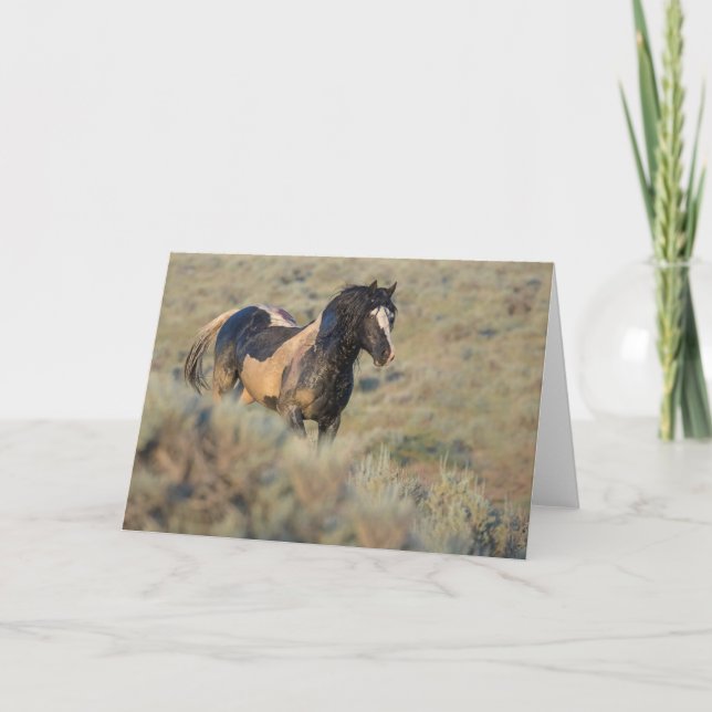 Tougher Than the Rest" Note Card (Front)