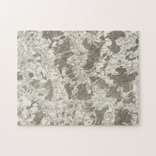 Toul Jigsaw Puzzle