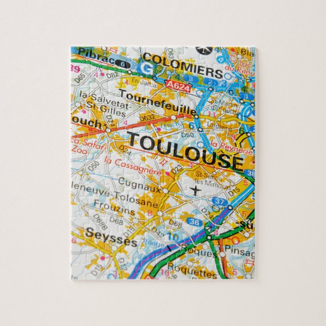 Toulouse, France Jigsaw Puzzle (Vertical)