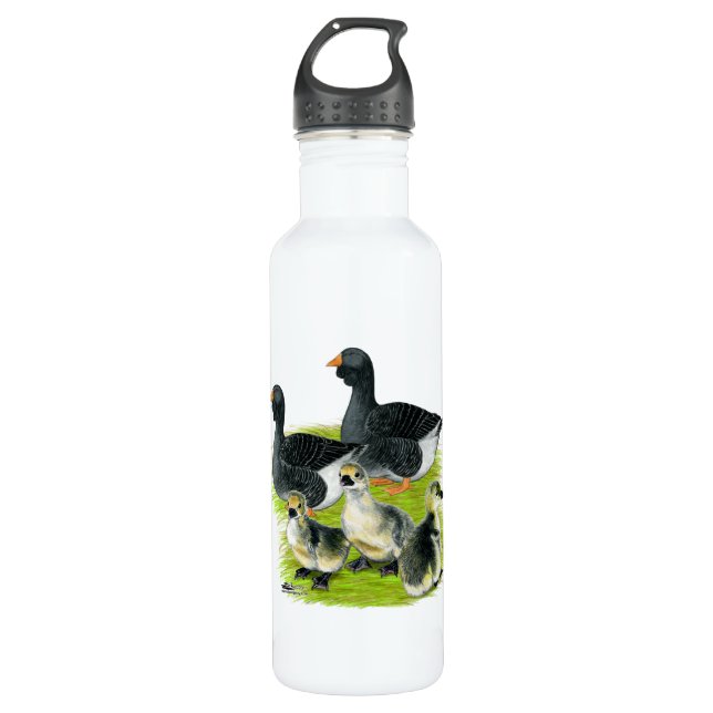 Toulouse Goose Family 710 Ml Water Bottle (Front)
