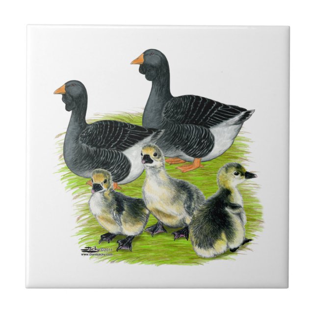 Toulouse Goose Family Ceramic Tile (Front)