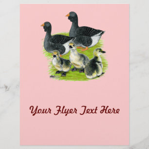 Toulouse Goose Family Flyer