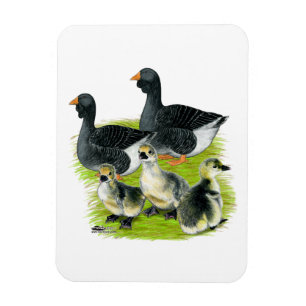 Toulouse Goose Family Magnet