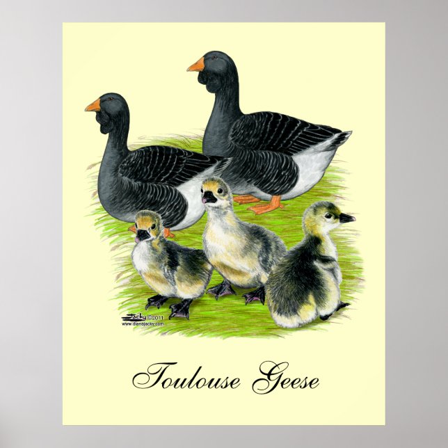 Toulouse Goose Family Poster (Front)