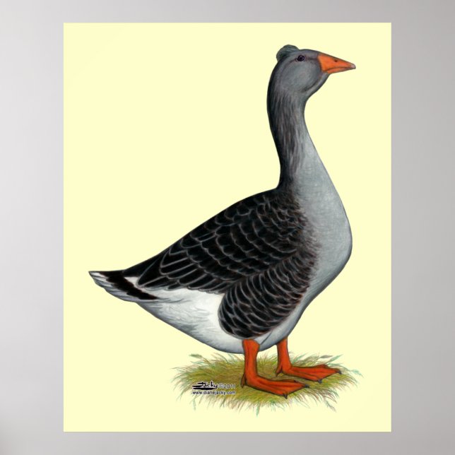 Toulouse Goose Tufted Poster (Front)