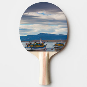 Tour boats on Seno Ultima Esperanza bay Ping Pong Paddle