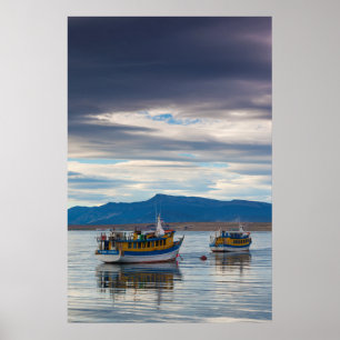 Tour boats on Seno Ultima Esperanza bay Poster