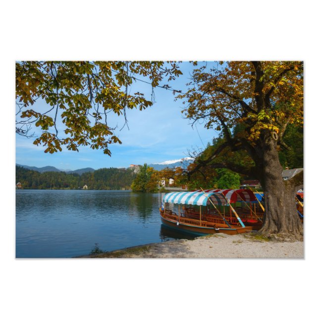 Tourist boats in Lake Bled in autumn Photo Print (Front)