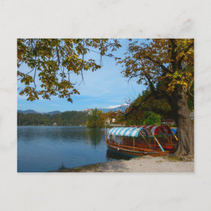 Tourist boats in Lake Bled in autumn Postcard