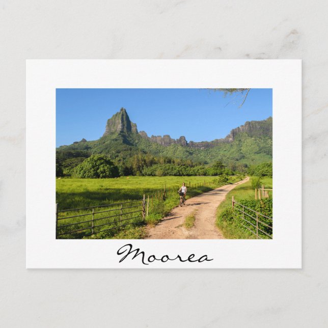 Tourist cycling on tropical Moorea white postcard (Front)