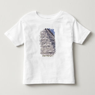 Tourists climbing stairs of El Castillo, stone Toddler T-Shirt