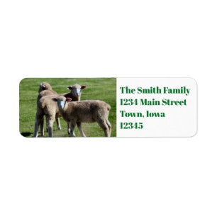 Tourists Return Address Label