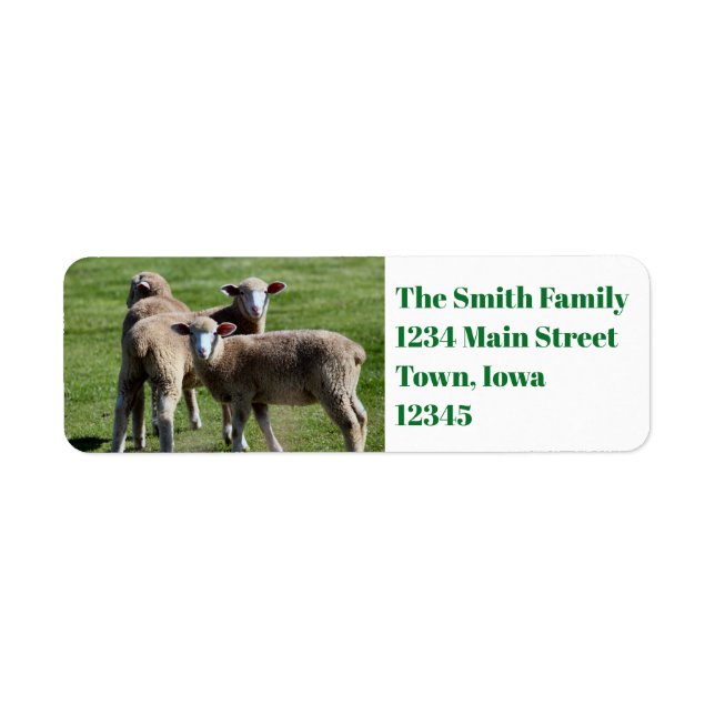 Tourists Return Address Label (Front)