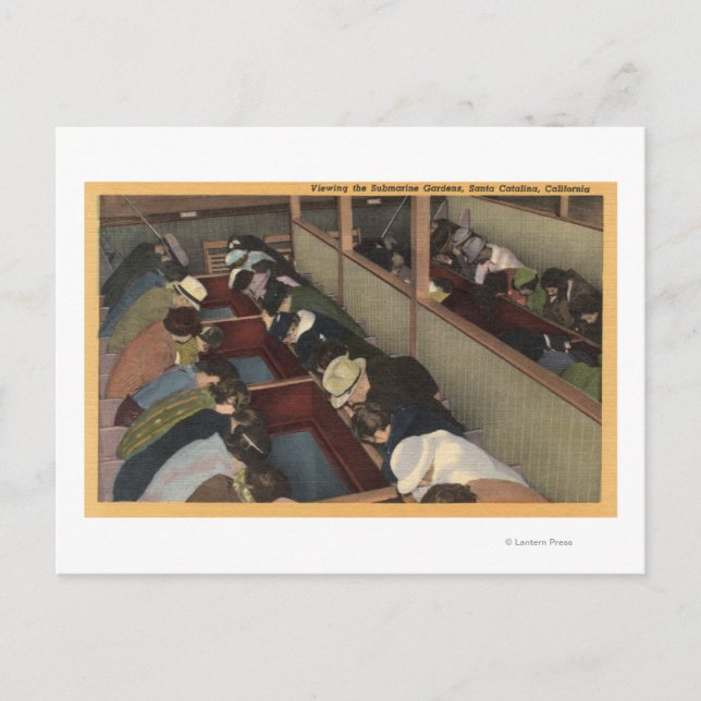 Tourists Viewing the Submarine Gardens Postcard (Front)