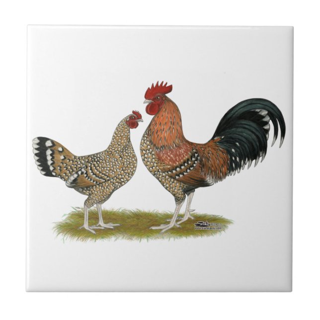 Tournaisis Bantams Ceramic Tile (Front)