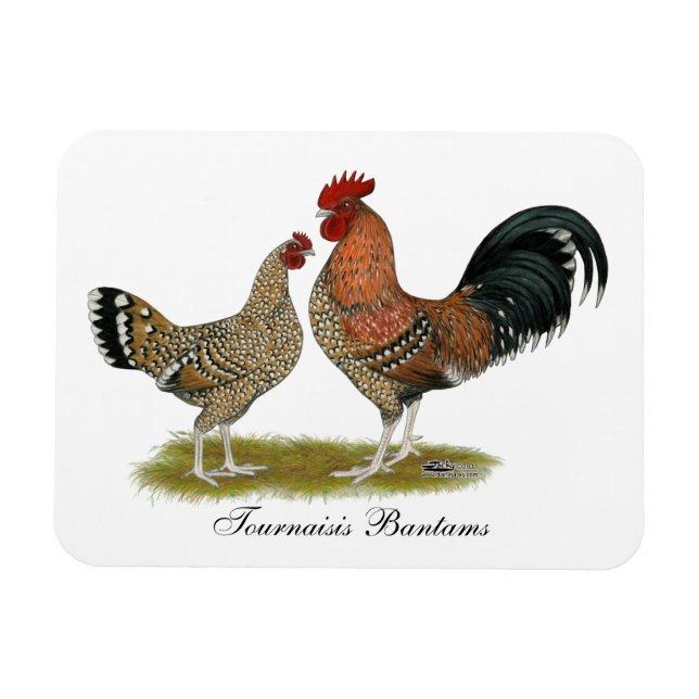 Tournaisis Bantams Magnet (Horizontal)