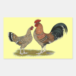 Tournaisis Bantams Rectangular Sticker