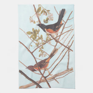 Towee Bunting Audubon Black and Orange Song Birds Tea Towel