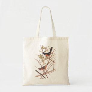 Towee Bunting Audubon Black and Orange Song Birds Tote Bag