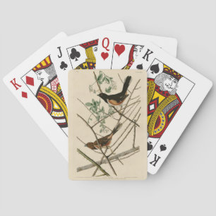 Towee Bunting (Eastern Towee) from Audubon's Birds Playing Cards