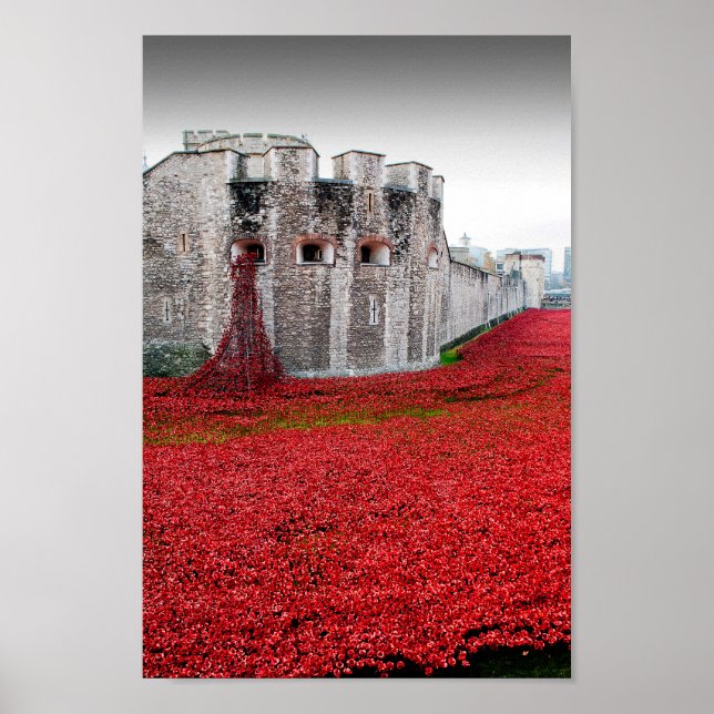 Tower Of London Poppies Red Poppy Poster (Front)