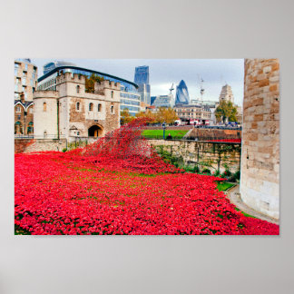 Tower Of London Poppies Red Poppy Poster
