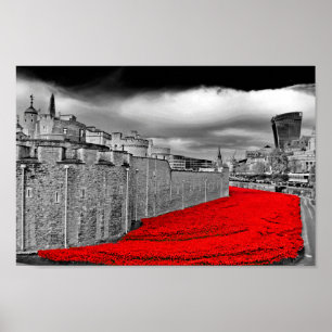 Tower Of London Poppies Red Poppy Poster