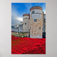 Tower of London Red Poppies England UK