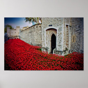 Tower of London Red Poppies England UK Poster