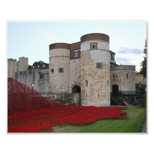Tower of London with Bright Red Poppies Photo Print (Front)