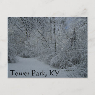 Tower Park, KY Postcard