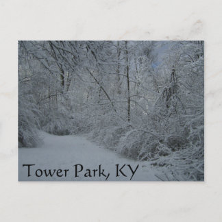 Tower Park, KY Postcard