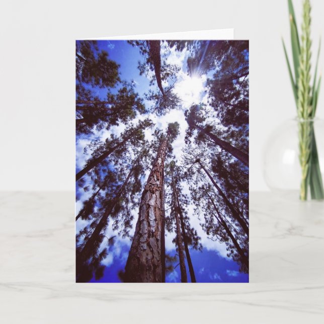 Towering Pines Folded Greeting Card (Front)