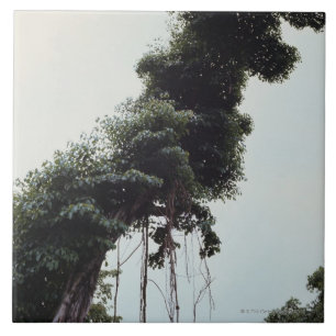 Towering tree and vines in jungle ceramic tile