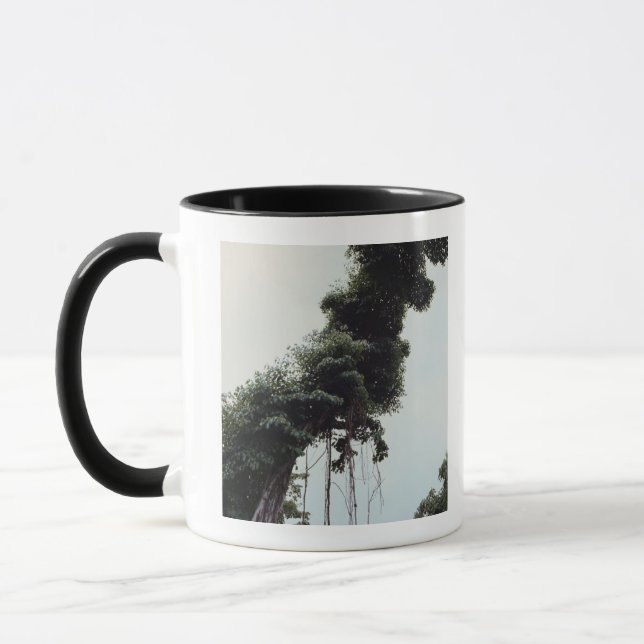 Towering tree and vines in jungle mug (Left)
