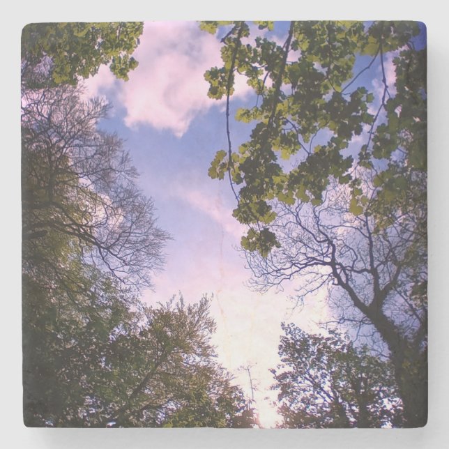 Towering trees stone coaster (Front)