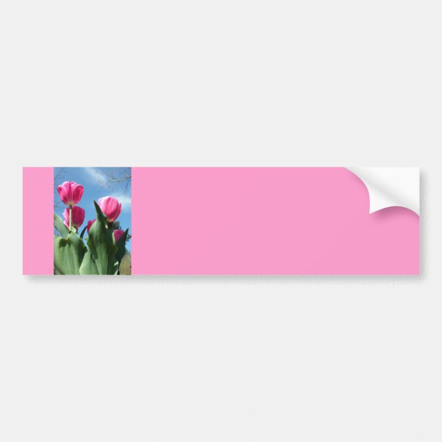Towering Tulips Bumper Sticker (Front)