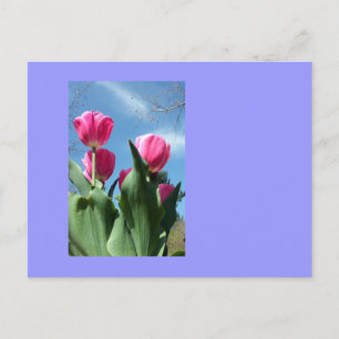 Towering Tulips Postcard