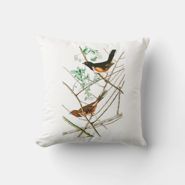 Towhe Bunting John James Audubon Birds of America Cushion (Front)