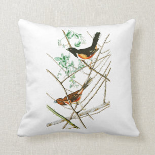 Towhe Bunting John James Audubon Birds of America Cushion