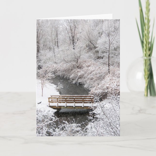 Town Brook in January  Card (Front)