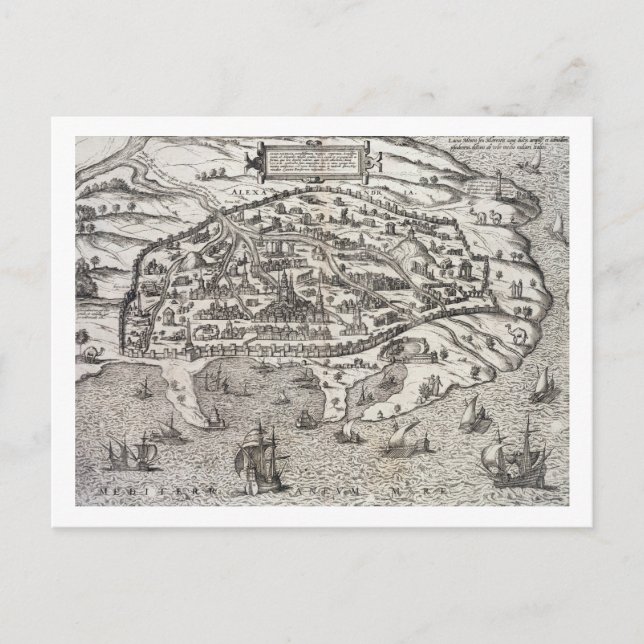 Town map of Alexandria in Egypt, c.1625 (engraving Postcard (Front)