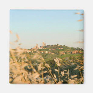 Town on a hill, San Gimignano, Siena Province, 2 Magnet