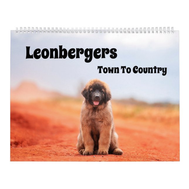 Town To Country Leonbergers Calendar (Cover)