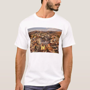 Town View From Above T-Shirt