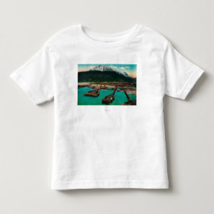 Town View of Skagway, AlaskaSkagway, AK Toddler T-Shirt
