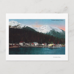 Town View with DocksTenakee Springs, AK Postcard
