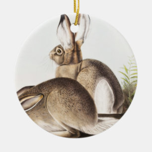 Townsend's Rocky Mountain Hare (Lepus Townsendii) Ceramic Ornament